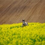 Jak dokonać wyboru zakład pogrzebowy? Wskazówki dla osób w żałobie.